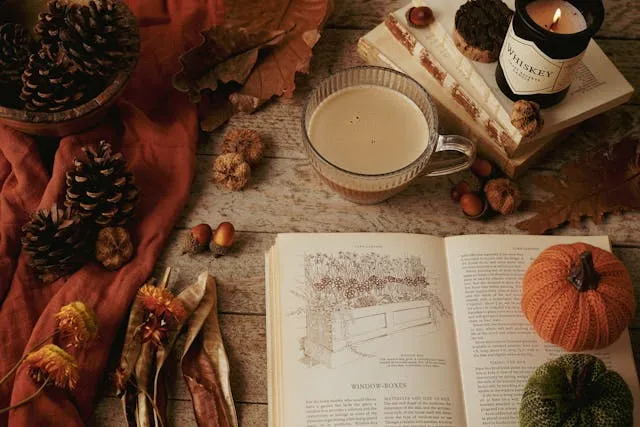 Ergonomic Code with Elysia #2: Connect database with Drizzle ORM